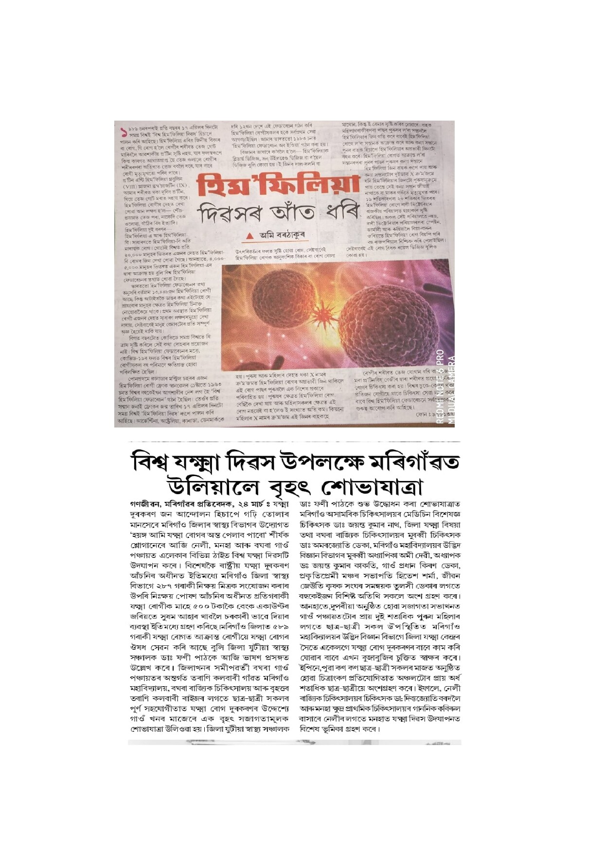 Some articles written by Mrs. Ami Devi ( HOD, Associate Professor, Dept. of Botany) published in the Assam Tribune Newspaper.